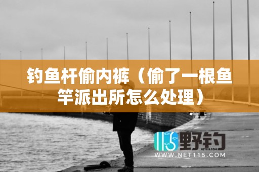 钓鱼杆偷内裤（偷了一根鱼竿派出所怎么处理）