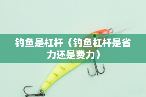 钓鱼是杠杆（钓鱼杠杆是省力还是费力）