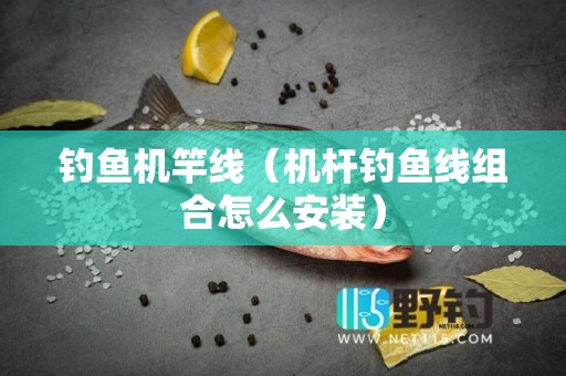 钓鱼机竿线（机杆钓鱼线组合怎么安装）