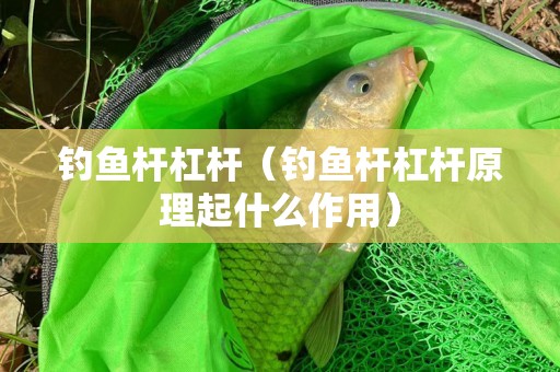 钓鱼杆杠杆（钓鱼杆杠杆原理起什么作用）