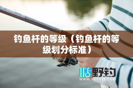 钓鱼杆的等级（钓鱼杆的等级划分标准）