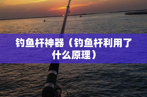 钓鱼杆神器（钓鱼杆利用了什么原理）
