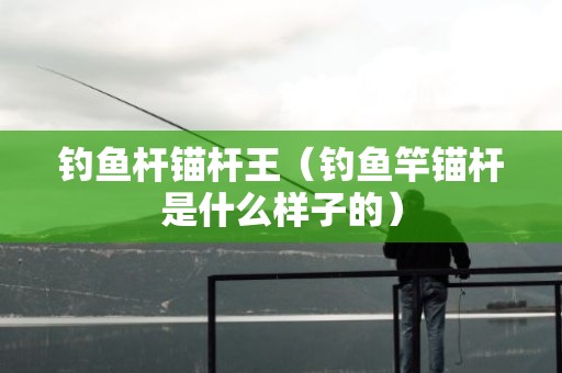 钓鱼杆锚杆王（钓鱼竿锚杆是什么样子的）