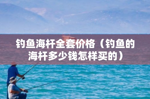 钓鱼海杆全套价格（钓鱼的海杆多少钱怎样买的）