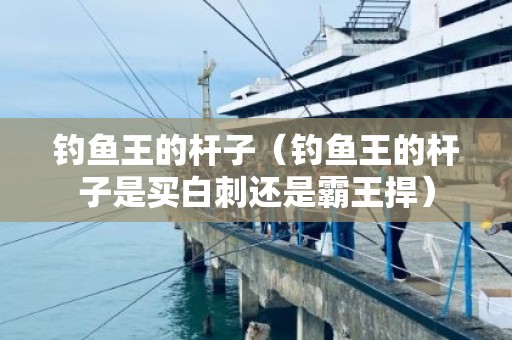 钓鱼王的杆子（钓鱼王的杆子是买白刺还是霸王捍）