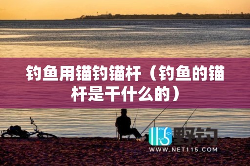 钓鱼用锚钓锚杆（钓鱼的锚杆是干什么的）
