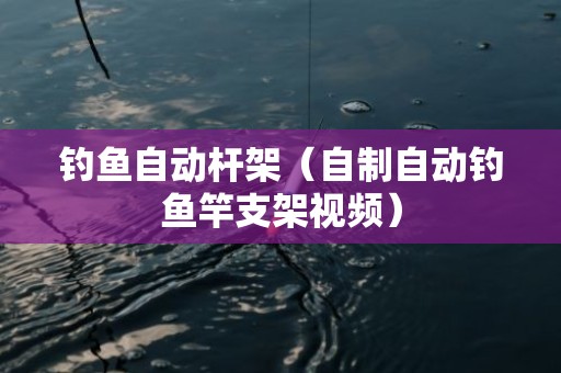 钓鱼自动杆架（自制自动钓鱼竿支架视频）
