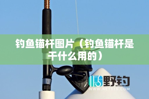钓鱼锚杆图片（钓鱼锚杆是干什么用的）