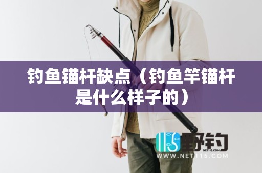 钓鱼锚杆缺点（钓鱼竿锚杆是什么样子的）