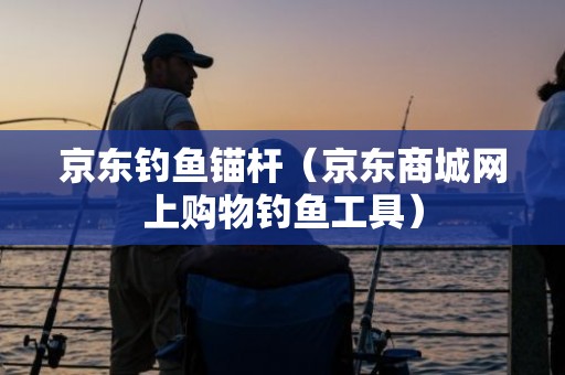 京东钓鱼锚杆（京东商城网上购物钓鱼工具）