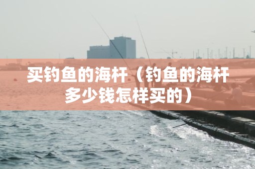 买钓鱼的海杆（钓鱼的海杆多少钱怎样买的）