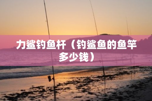 力鲨钓鱼杆（钓鲨鱼的鱼竿多少钱）