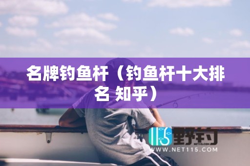 名牌钓鱼杆（钓鱼杆十大排名 知乎）