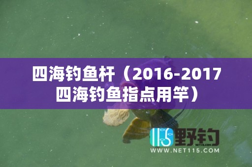 四海钓鱼杆（2016-2017四海钓鱼指点用竿）