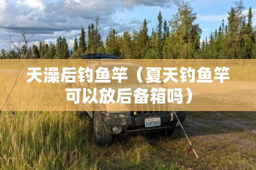 天澡后钓鱼竿（夏天钓鱼竿可以放后备箱吗）