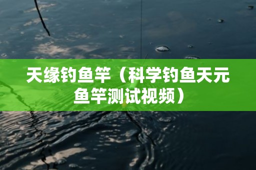 天缘钓鱼竿（科学钓鱼天元鱼竿测试视频）