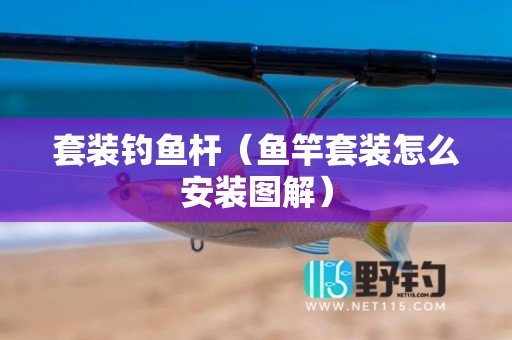 套装钓鱼杆（鱼竿套装怎么安装图解）