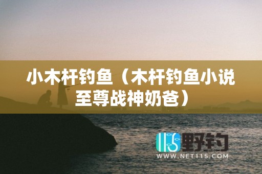 小木杆钓鱼（木杆钓鱼小说至尊战神奶爸）