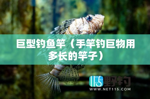 巨型钓鱼竿（手竿钓巨物用多长的竿子）
