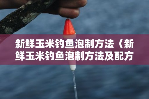 新鲜玉米钓鱼泡制方法（新鲜玉米钓鱼泡制方法及配方）
