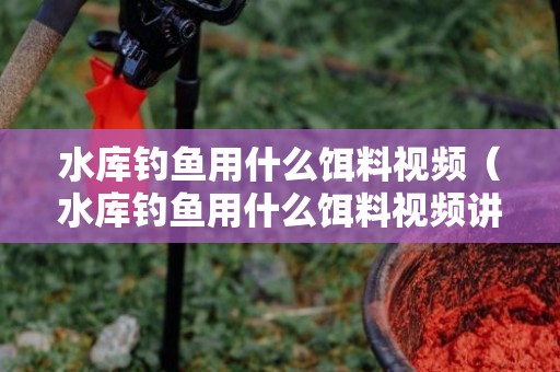 水库钓鱼用什么饵料视频（水库钓鱼用什么饵料视频讲解一下）