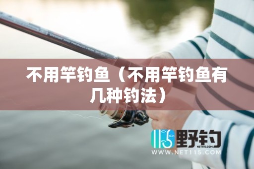 不用竿钓鱼（不用竿钓鱼有几种钓法）