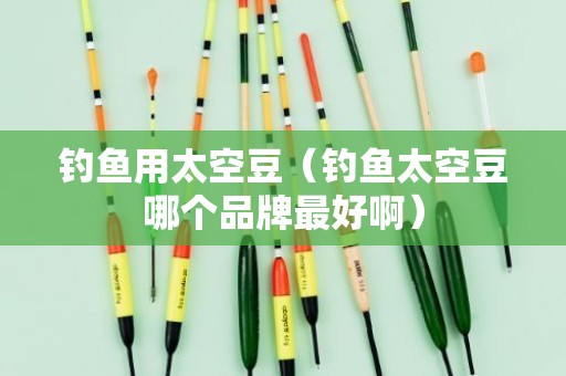 钓鱼用太空豆（钓鱼太空豆哪个品牌最好啊）