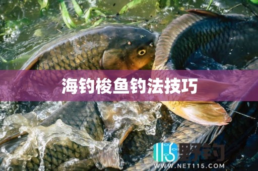 海钓梭鱼钓法技巧