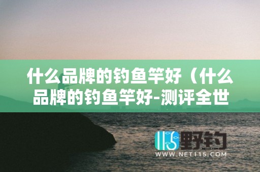 什么品牌的钓鱼竿好（什么品牌的钓鱼竿好-测评全世界手感最轻的高碳鲤鱼竿）