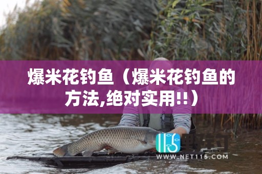 爆米花钓鱼（爆米花钓鱼的方法,绝对实用!!）