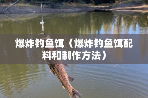 爆炸钓鱼饵（爆炸钓鱼饵配料和制作方法）
