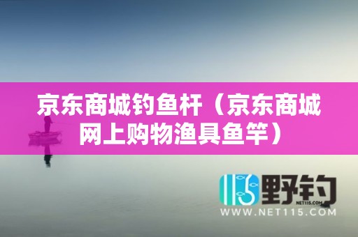 京东商城钓鱼杆（京东商城网上购物渔具鱼竿）