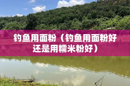 钓鱼用面粉（钓鱼用面粉好还是用糯米粉好）