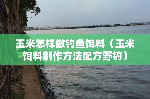 玉米怎样做钓鱼饵料（玉米饵料制作方法配方野钓）