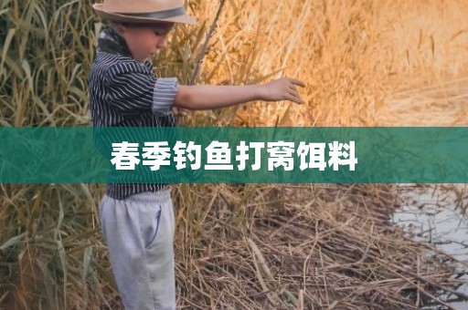 春季钓鱼打窝饵料