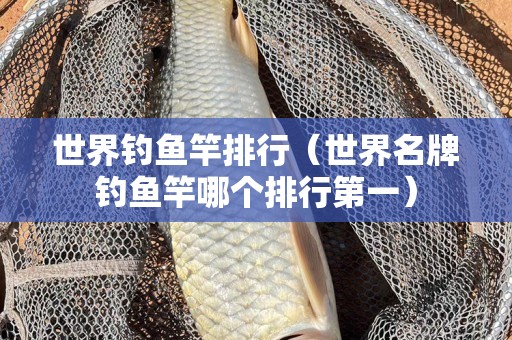 世界钓鱼竿排行（世界名牌钓鱼竿哪个排行第一）