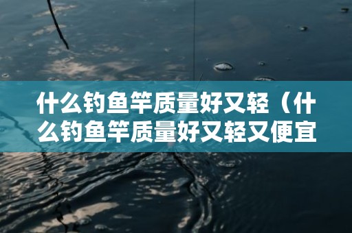 什么钓鱼竿质量好又轻（什么钓鱼竿质量好又轻又便宜）