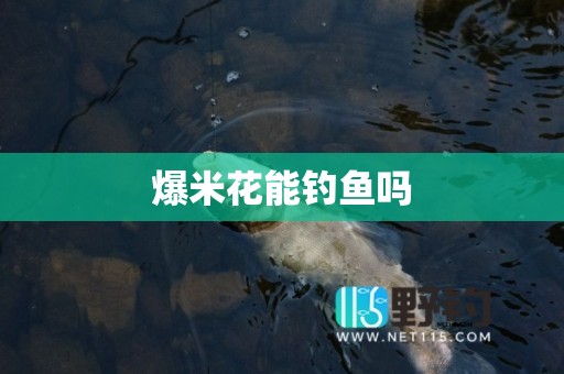 爆米花能钓鱼吗