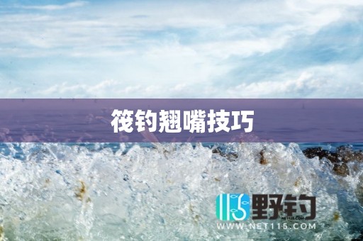 筏钓翘嘴技巧