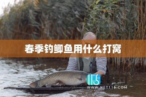 春季钓鲫鱼用什么打窝