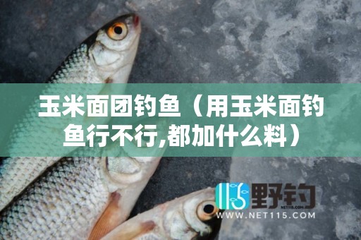 玉米面团钓鱼（用玉米面钓鱼行不行,都加什么料）