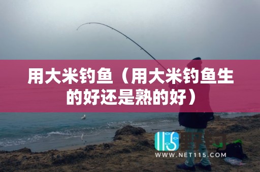用大米钓鱼（用大米钓鱼生的好还是熟的好）