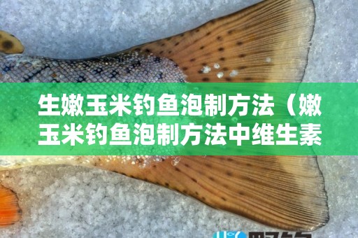 生嫩玉米钓鱼泡制方法（嫩玉米钓鱼泡制方法中维生素B2放多少）