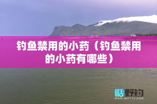 钓鱼禁用的小药（钓鱼禁用的小药有哪些）