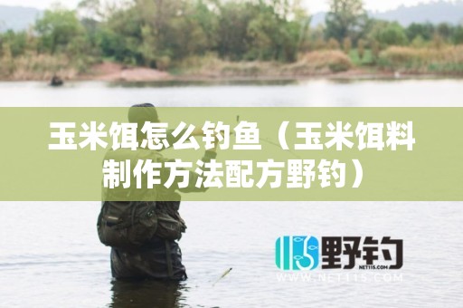 玉米饵怎么钓鱼（玉米饵料制作方法配方野钓）