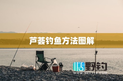 芦荟钓鱼方法图解