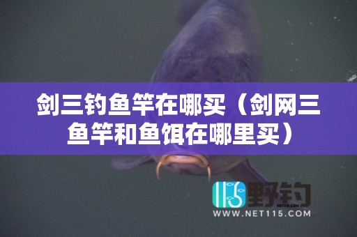 剑三钓鱼竿在哪买（剑网三鱼竿和鱼饵在哪里买）
