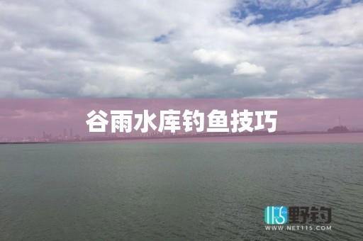谷雨水库钓鱼技巧