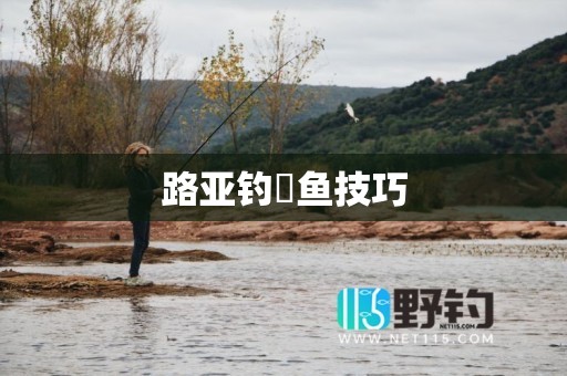 路亚钓鳡鱼技巧