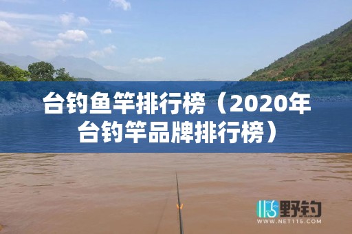 台钓鱼竿排行榜（2020年台钓竿品牌排行榜）